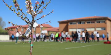 Recuperación de espacios naturales y plantaciones de árboles en el ‘pulmón verde’ de los salmantinos