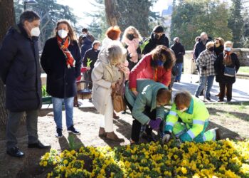 Plantación de tulipanes para visibilizar los problemas de los enfermos de Parkinson