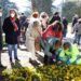 Plantación de tulipanes para visibilizar los problemas de los enfermos de Parkinson