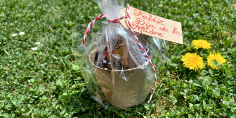 Los alumnos del Programa Mixto de Formación entregarán a las ‘mamás’ una maceta con semillas para celebrar el Día de la Madre