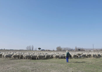 La Filmoteca presenta el cortometraje ‘El arte de los pastores. Vidas, obras y creencias de los pastores salmantinos’