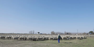 La Filmoteca presenta el cortometraje ‘El arte de los pastores. Vidas, obras y creencias de los pastores salmantinos’