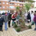 Salamanca aumenta y mejora las zonas verdes, parques y plazas del barrio de la Prosperidad