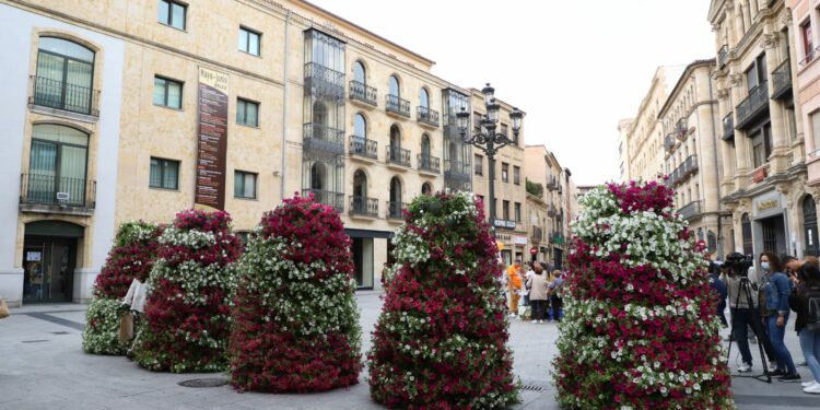 El verano llegará a Salamanca con 40.000 plantas que llenarán de color las calles y plazas de la ciudad