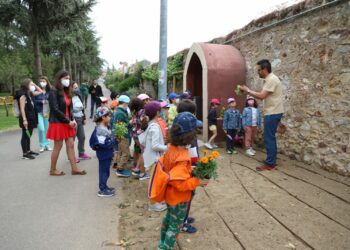 Los escolares del Padre Manjón colaboran en la construcción de oasis de mariposas y hoteles de insectos