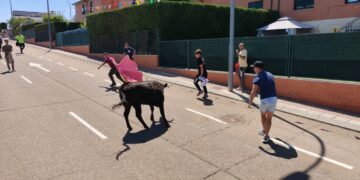 Estreno con ‘puerta grande’ para los encierros de Carrascal de Barregas