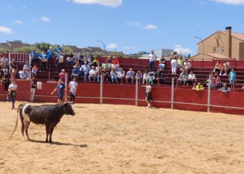 Estreno con ‘puerta grande’ para los encierros de Carrascal de Barregas