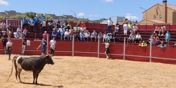 Estreno con ‘puerta grande’ para los encierros de Carrascal de Barregas