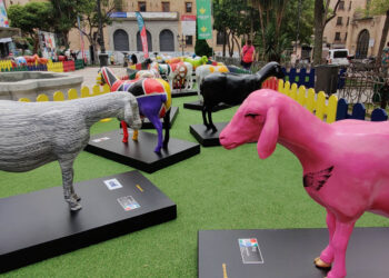 Las coloridas Ovejas de Fromago ‘pastan’ desde hoy en la Plaza de los Bandos