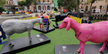 Las coloridas Ovejas de Fromago ‘pastan’ desde hoy en la Plaza de los Bandos