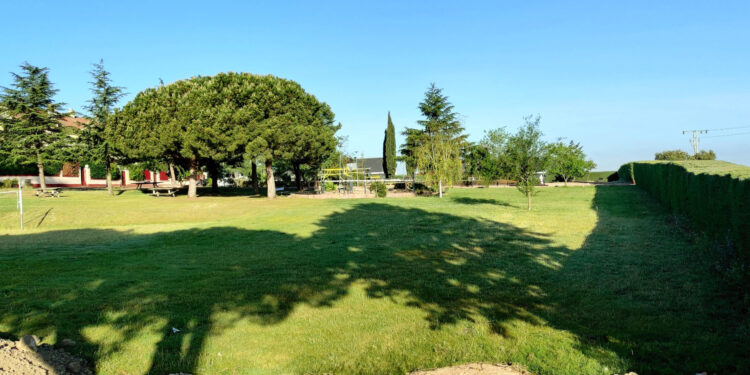 Carrascal de Barregas sumará 40 frutales más a sus zonas de arbolado