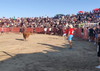 Capea, peñas y charanga para animar la tarde de fiestas en Santa Marta