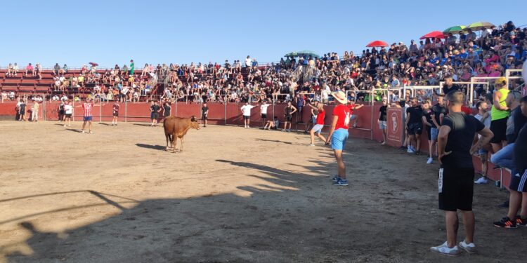 Capea, peñas y charanga para animar la tarde de fiestas en Santa Marta