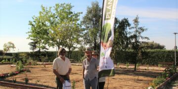 Los jardines de entrada a Peñasolana ya lucen 40 nuevos árboles frutales