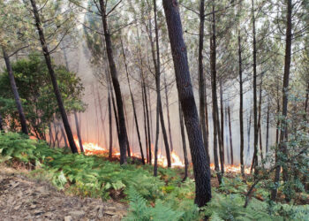 Los peores presagios se cumplen con un incendio en Villanueva del Conde