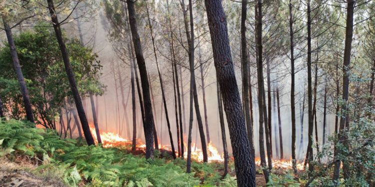 Los peores presagios se cumplen con un incendio en Villanueva del Conde