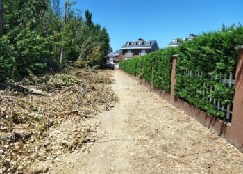 El Ayuntamiento desbroza y limpia el entorno del arroyo Requesenes para mejorar la imagen y evitar incendios