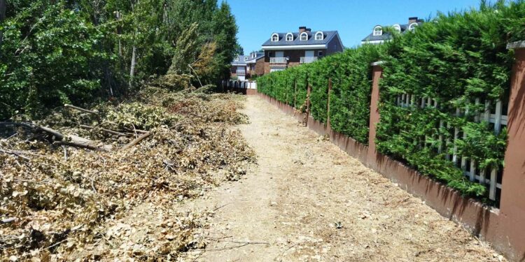 El Ayuntamiento desbroza y limpia el entorno del arroyo Requesenes para mejorar la imagen y evitar incendios