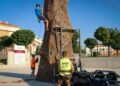 Los jóvenes aprenden escalada en el rocódromo móvil por la Semana de la Juventud