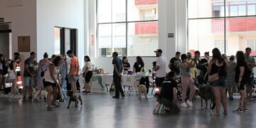 Jornada festiva dedicada a los niños y las mascotas
