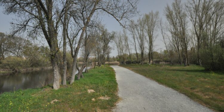 El Programa Municipal de Voluntariado, ‘Voluntas’, arranca el curso con nuevas actividades