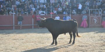 La justicia rechaza la petición del Gobierno de suspender el Toro de la Vega