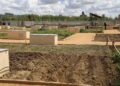 La jornada de puertas abiertas con talleres medioambientales y demostraciones culinarias inaugurará la lonja de los huertos urbanos el próximo sábado