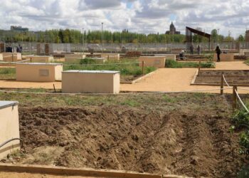 La jornada de puertas abiertas con talleres medioambientales y demostraciones culinarias inaugurará la lonja de los huertos urbanos el próximo sábado