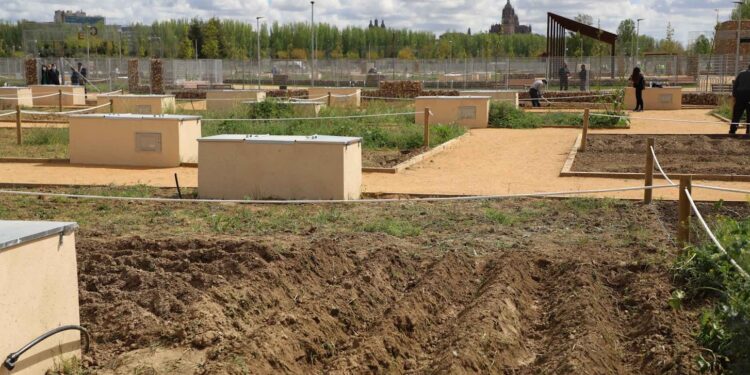 La jornada de puertas abiertas con talleres medioambientales y demostraciones culinarias inaugurará la lonja de los huertos urbanos el próximo sábado