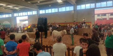 Salamanca se vuelca con el sector agropecuario y con la Feria Salamaq’22