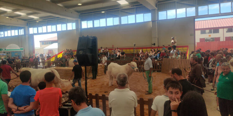 Salamanca se vuelca con el sector agropecuario y con la Feria Salamaq’22