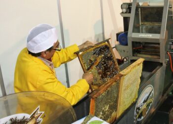 La X Feria de la Miel vuelve a Aldeatejada para mostrar su calidad y la riqueza de los productos artesanales