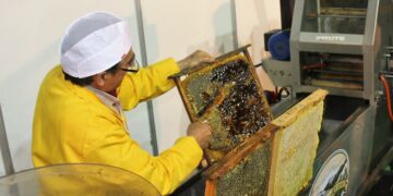 La X Feria de la Miel vuelve a Aldeatejada para mostrar su calidad y la riqueza de los productos artesanales