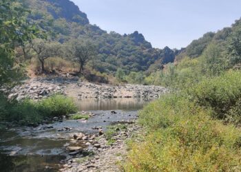 La Junta prorroga hasta el día 20 la declaración de peligro medio de incendios