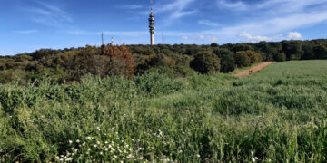 El Ayuntamiento incorpora a un trabajador para la mejora de los recursos turísticos del municipio