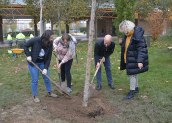 La plantación de nuevas especies aumentará el ‘ecosistema’ de las zonas verdes del Campus Unamuno