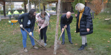La plantación de nuevas especies aumentará el ‘ecosistema’ de las zonas verdes del Campus Unamuno