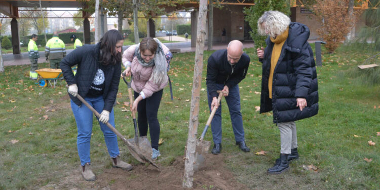 La plantación de nuevas especies aumentará el ‘ecosistema’ de las zonas verdes del Campus Unamuno
