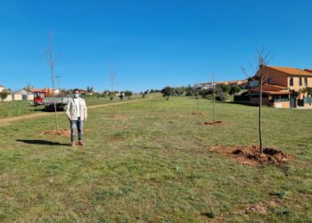 El Ayuntamiento recibe 101.000 euros para poner en marcha la AFE ‘Digitalización y Documentación’ que formará y ofrecerá empleo a ocho personas del municipio