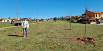 El Ayuntamiento recibe 101.000 euros para poner en marcha la AFE ‘Digitalización y Documentación’ que formará y ofrecerá empleo a ocho personas del municipio