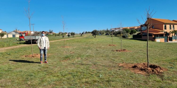 El Ayuntamiento recibe 101.000 euros para poner en marcha la AFE ‘Digitalización y Documentación’ que formará y ofrecerá empleo a ocho personas del municipio