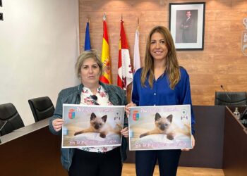 Castellanos pondrá en marcha el proyecto ‘Siamés’ de terapia con gatos para detectar y prevenir casos de bullying