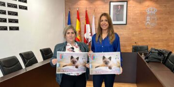 Castellanos pondrá en marcha el proyecto ‘Siamés’ de terapia con gatos para detectar y prevenir casos de bullying