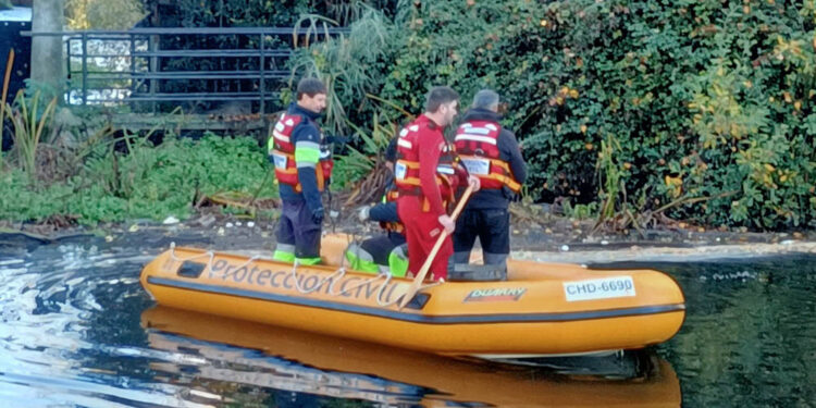 Limpieza del río en el tramo junto al molino para evitar problemas con las lluvias y las crecidas