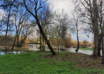 La espectacular crecida del río Tormes obliga a cortar la zona de ‘El Picón’ en la Isla del Soto