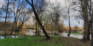 La espectacular crecida del río Tormes obliga a cortar la zona de ‘El Picón’ en la Isla del Soto