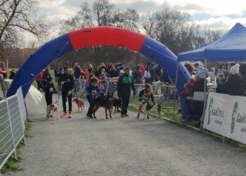 El Canicross reúne a más de cien corredores y mascotas en la Isla del Soto