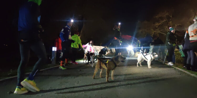 Vuelve el canicross a Santa Marta con el aperitivo de una primera etapa nocturna