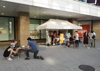 La Policía Nacional detiene a dos varones por el robo de una televisión