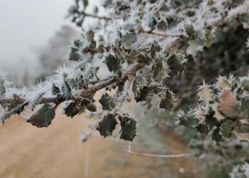 Gélida noche en la provincia de Salamanca con temperaturas mínimas de -6º